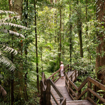 Daintree Rainforest, Australia