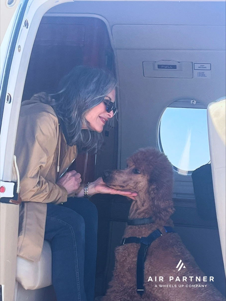 Candy The Poodle Private Flight on Hawker 400XP - Air Partner Private Jets