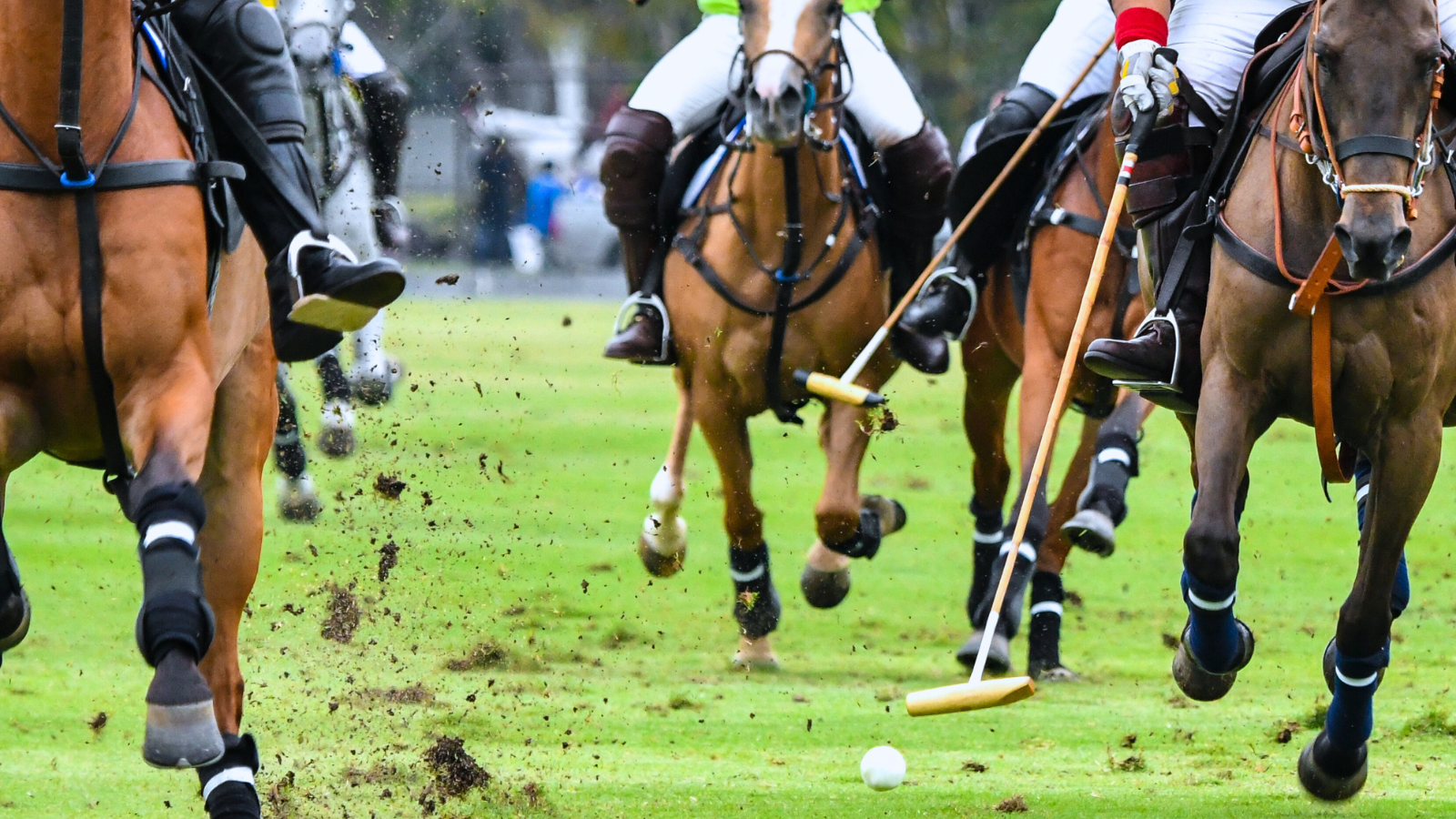 Polo match in Palm Beach