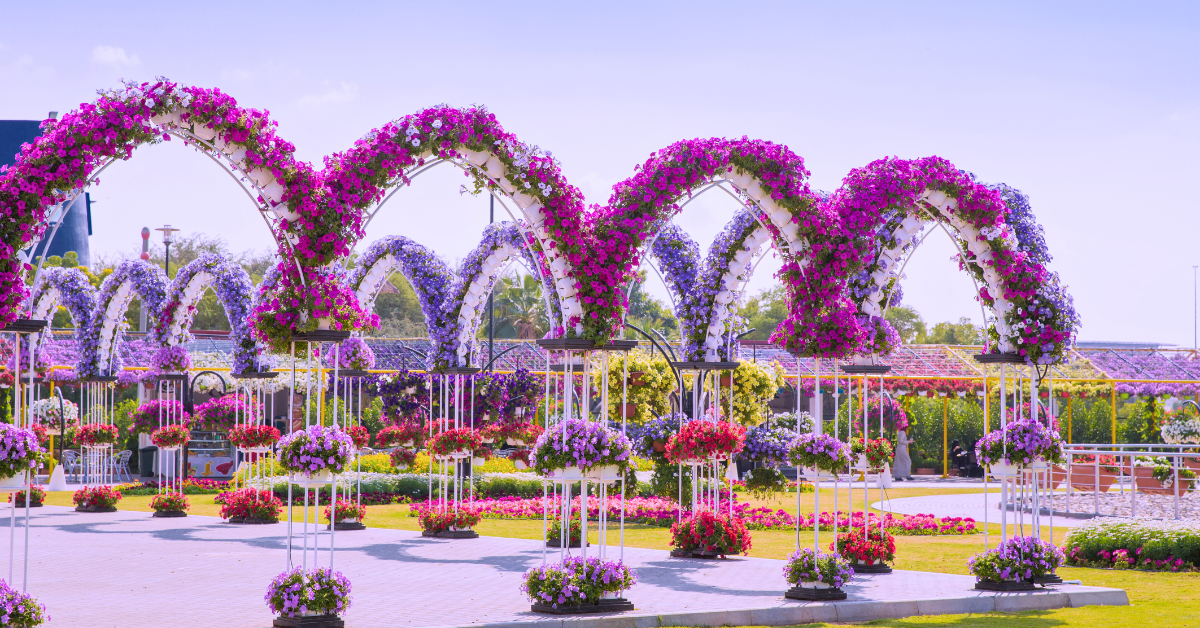 Fly to Dubai's Miracle Garden by private jet