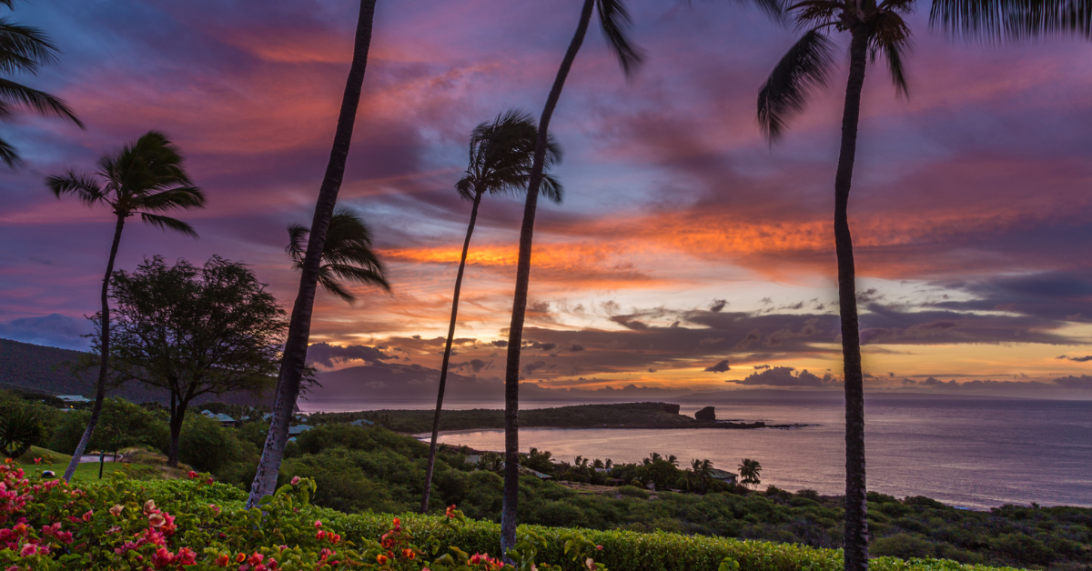 Lanai during sunset and windy palm trees