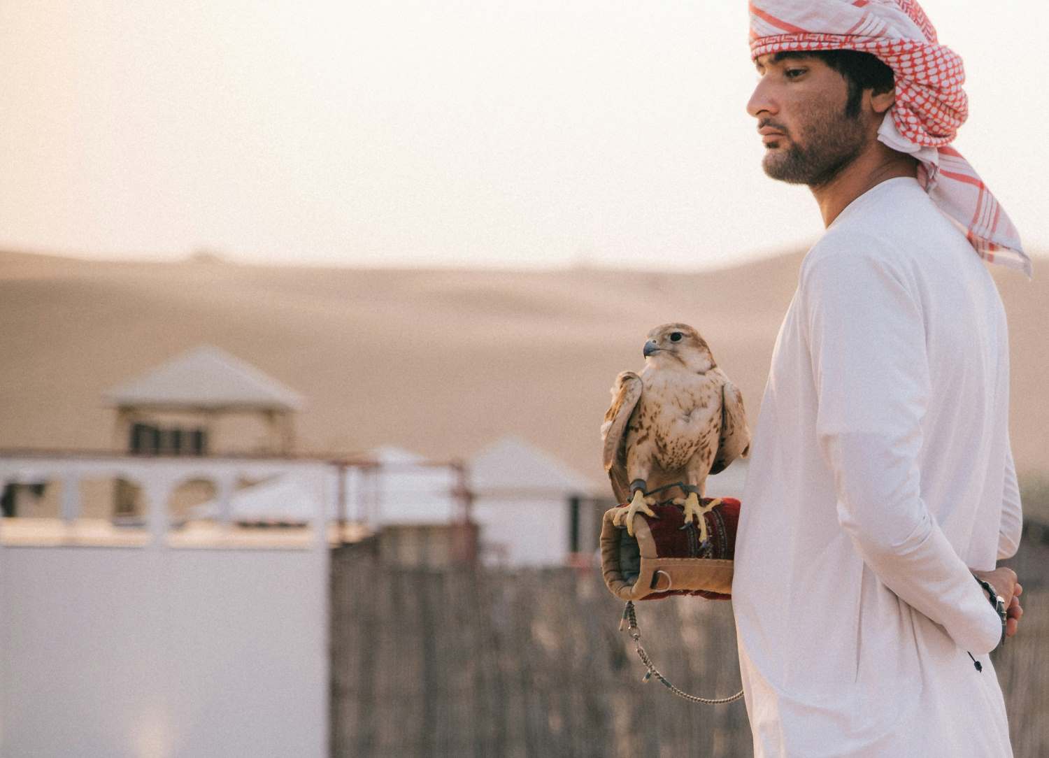 Man with falcon