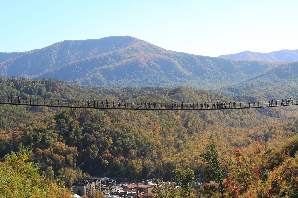 Mountain rail